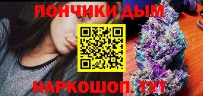 мдпв Новозыбков
