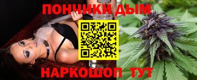 мдпв Новозыбков