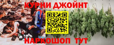 мдпв Новозыбков