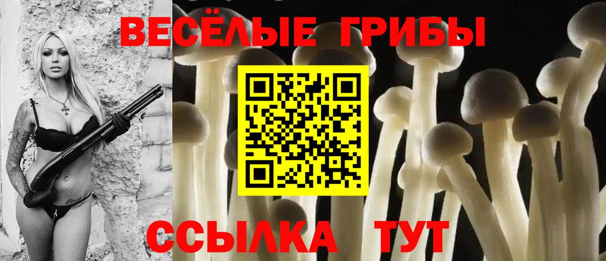 Псилоцибиновые грибы прущие грибы  Вход с VPN  закладка  Татарск 