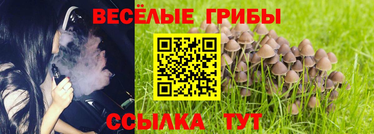 Галлюциногенные грибы Cubensis Татарск